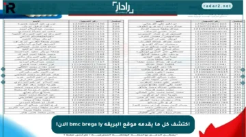 اكتشف كل ما يقدمه موقع البريقة bmc brega ly الآن!